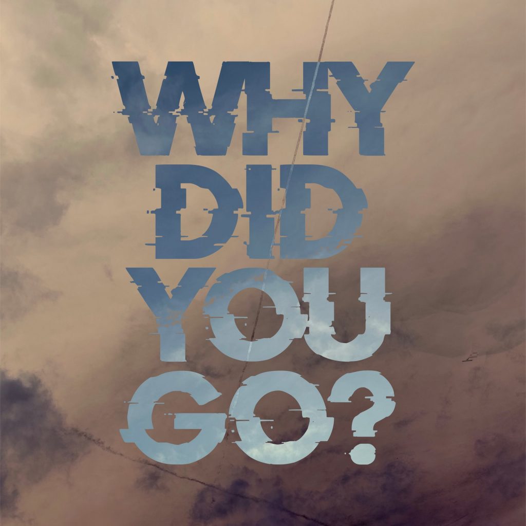 Why Did You Go?